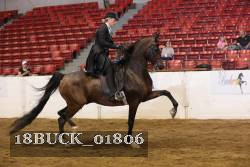 18BUCK_01806 proof