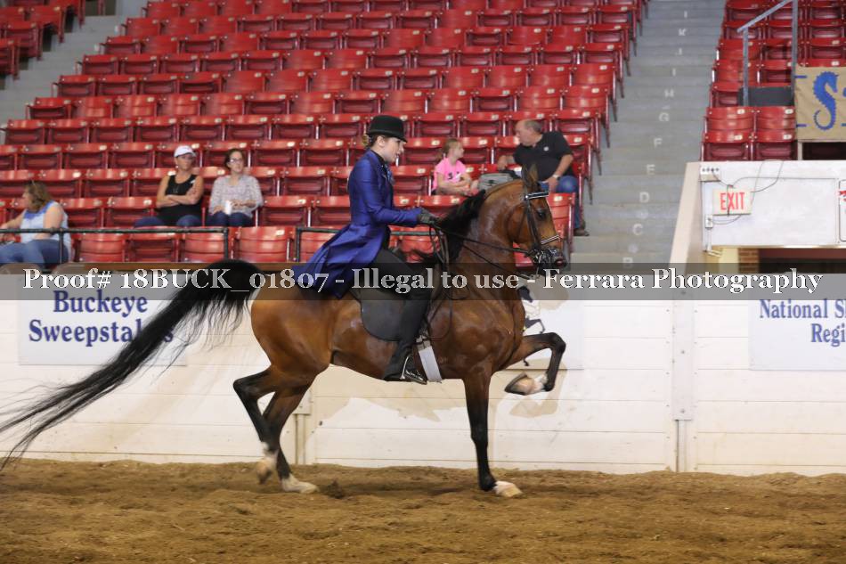 Proof 18BUCK_01807