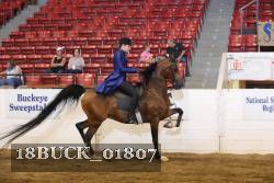 18BUCK_01807 proof