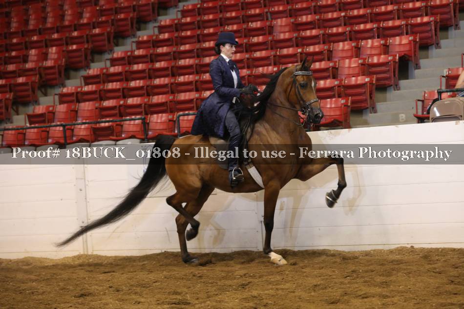 Proof 18BUCK_01808