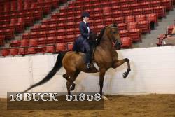 18BUCK_01808 proof