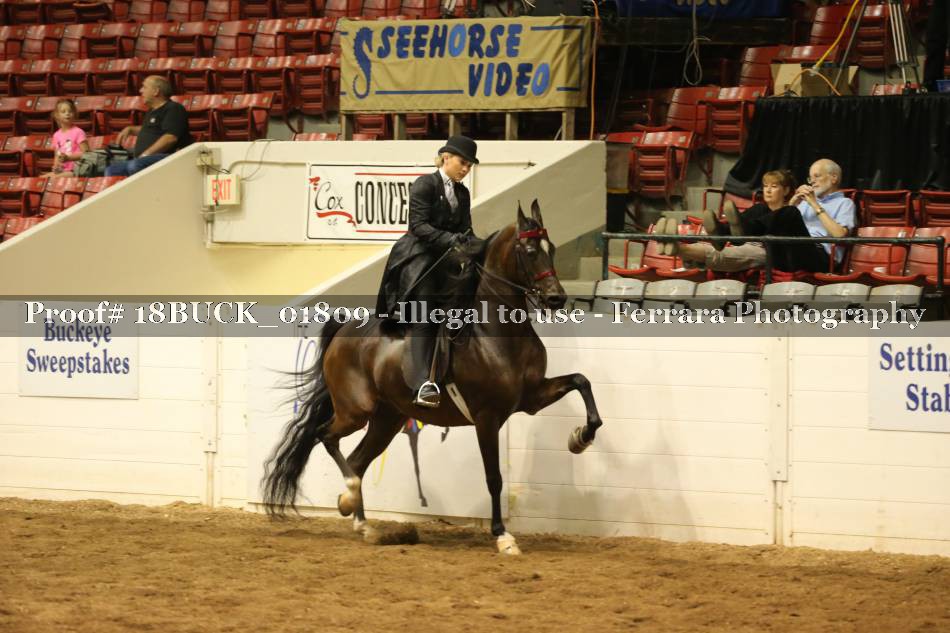 Proof 18BUCK_01809