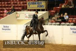 18BUCK_01809 proof
