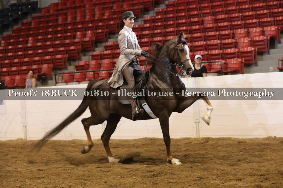 Proof 18BUCK_01810