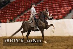 18BUCK_01810 proof