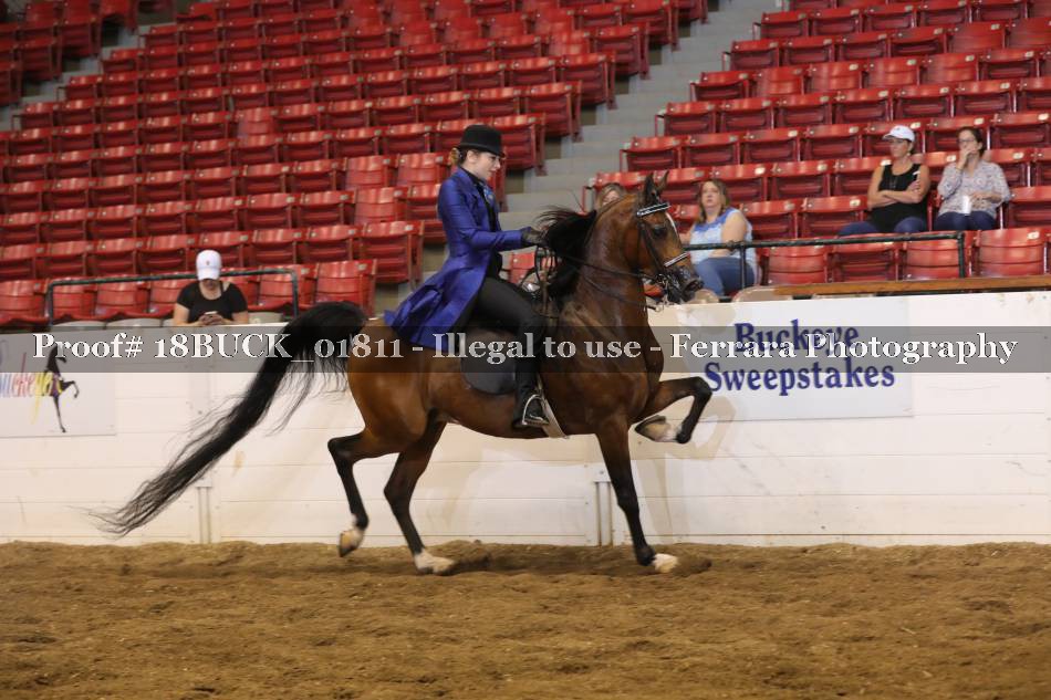 Proof 18BUCK_01811