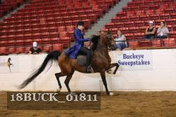 18BUCK_01811 proof
