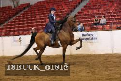 18BUCK_01812 proof