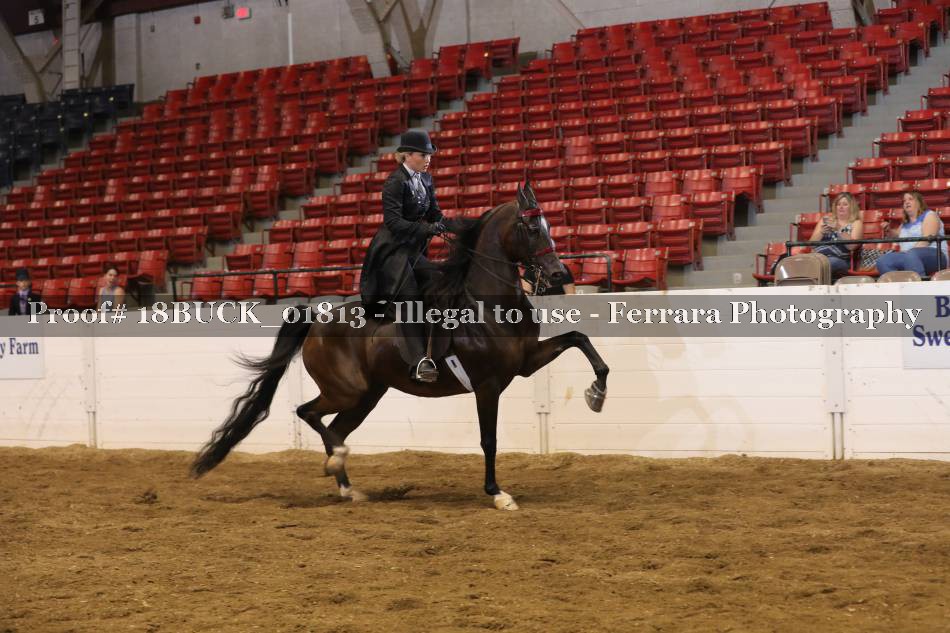 Proof 18BUCK_01813