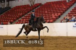 18BUCK_01813 proof