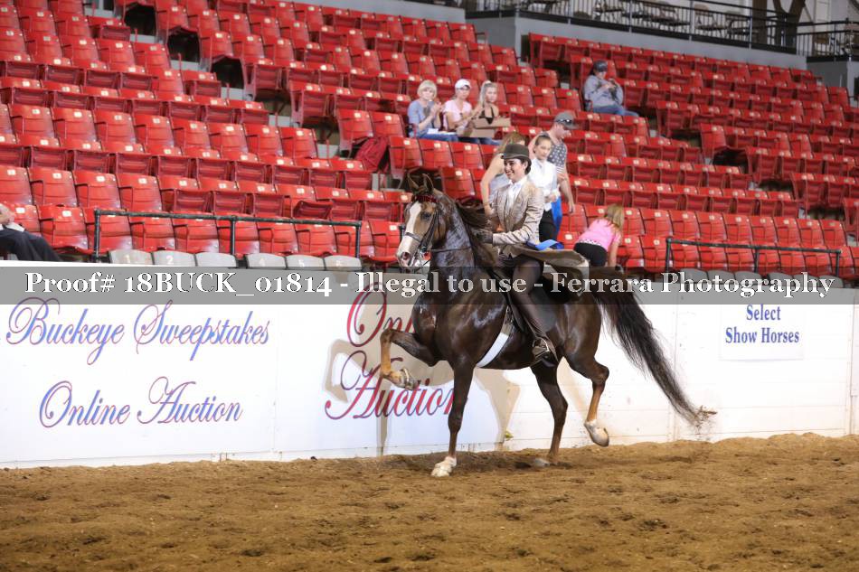 Proof 18BUCK_01814
