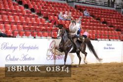 18BUCK_01814 proof