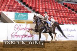 18BUCK_01815 proof