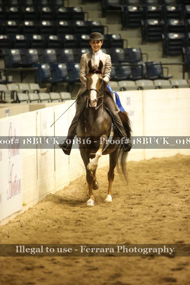 Proof 18BUCK_01816