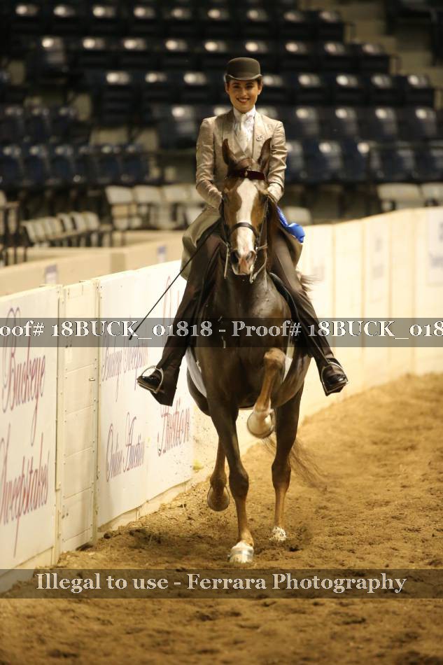 Proof 18BUCK_01818