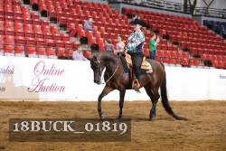 18BUCK_01819 proof