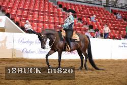 18BUCK_01820 proof