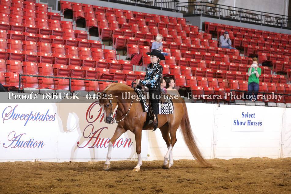 Proof 18BUCK_01822