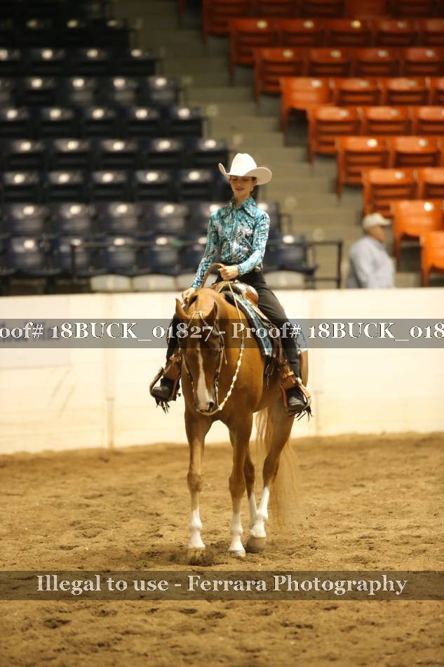 Proof 18BUCK_01827