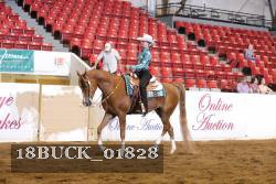 18BUCK_01828 proof