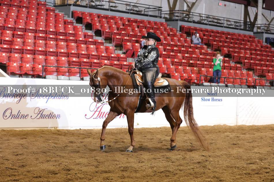 Proof 18BUCK_01830