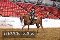 18BUCK_01830 proof