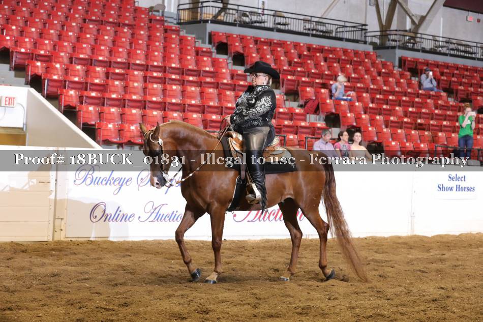 Proof 18BUCK_01831