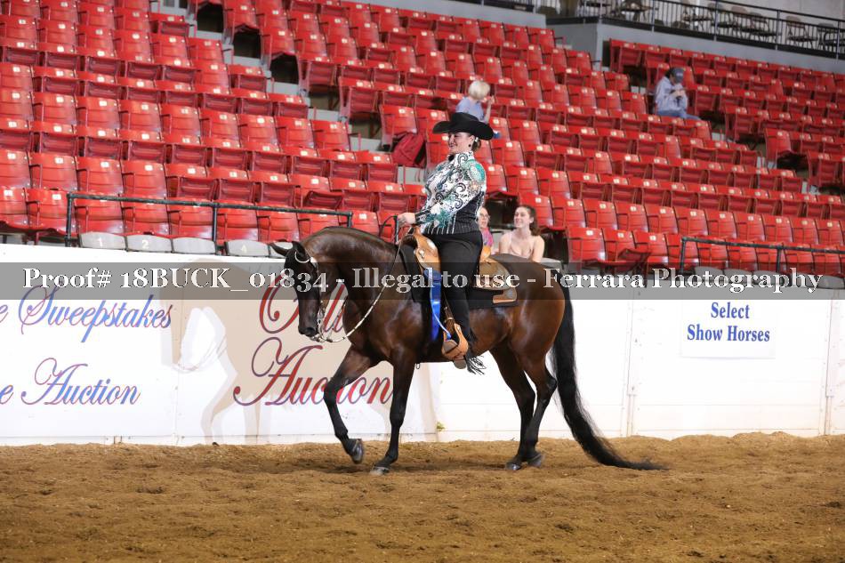 Proof 18BUCK_01834