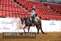 18BUCK_01834 proof
