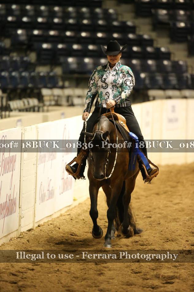Proof 18BUCK_01836