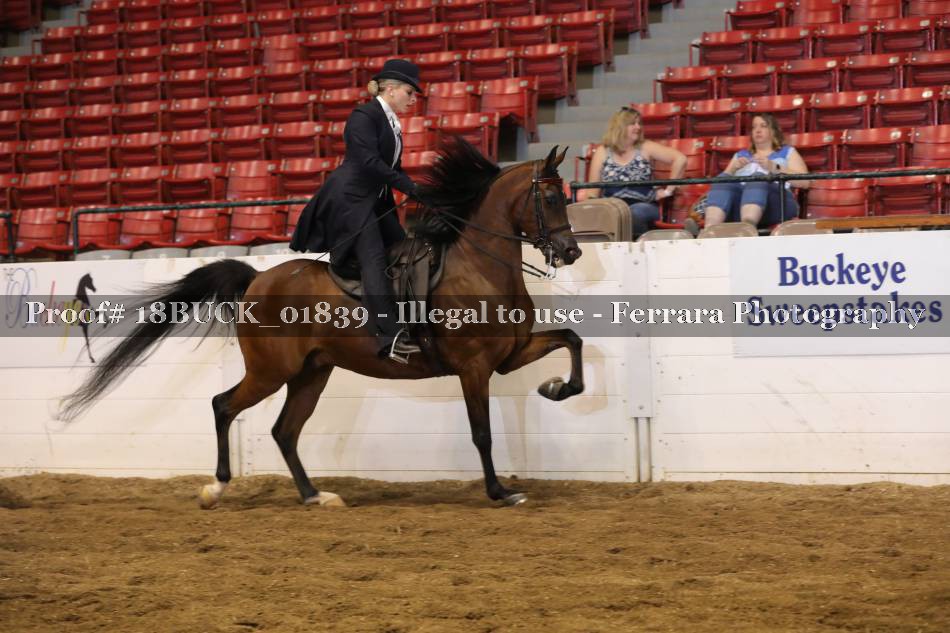 Proof 18BUCK_01839