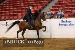 18BUCK_01839 proof