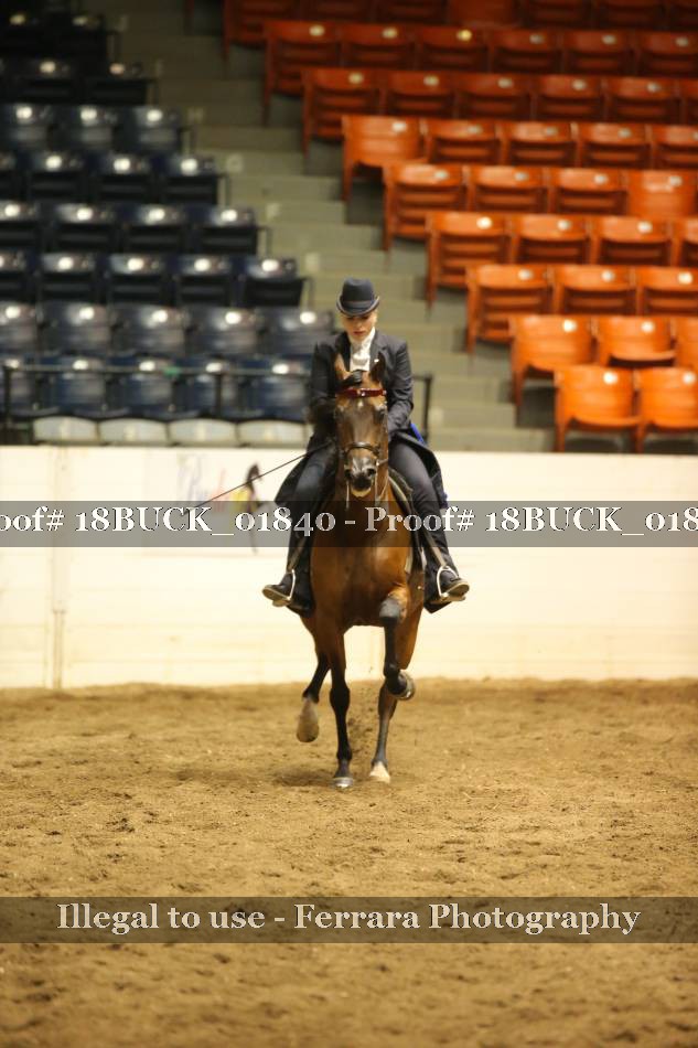 Proof 18BUCK_01840