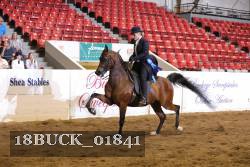 18BUCK_01841 proof