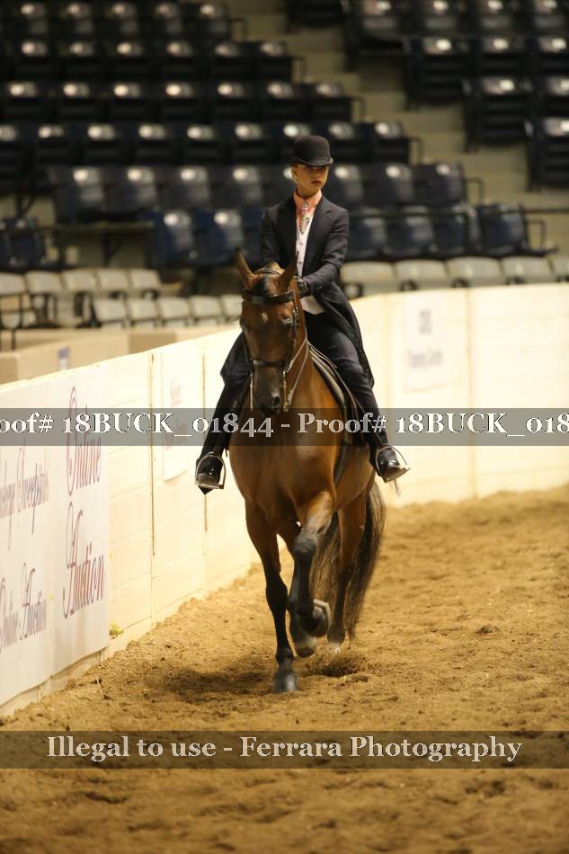 Proof 18BUCK_01844