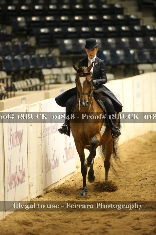 Proof 18BUCK_01848