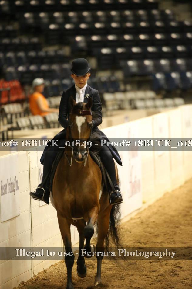 Proof 18BUCK_01849