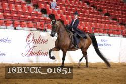 18BUCK_01851 proof