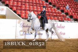 18BUCK_01852 proof