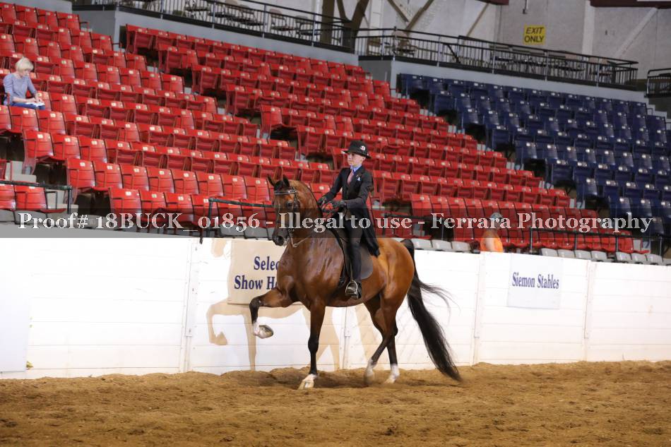 Proof 18BUCK_01856