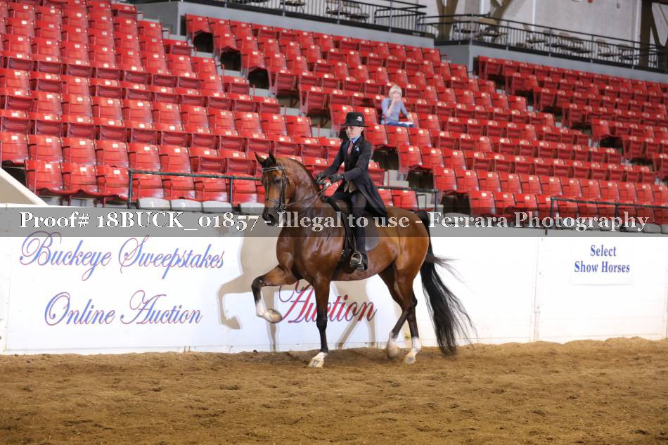 Proof 18BUCK_01857