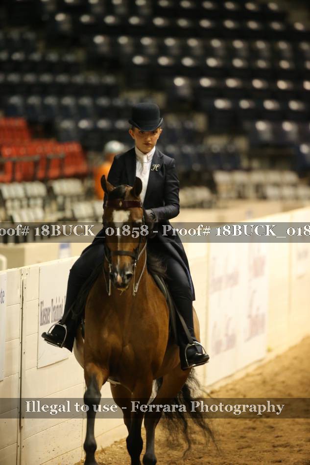 Proof 18BUCK_01858