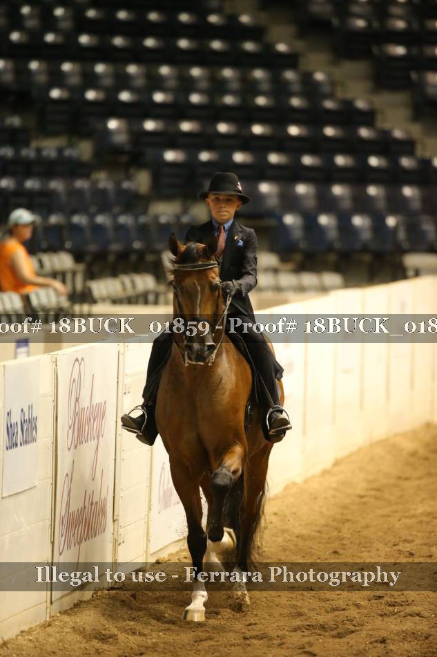 Proof 18BUCK_01859