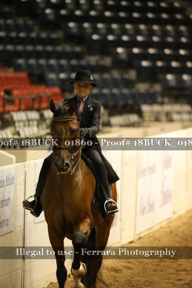 Proof 18BUCK_01860