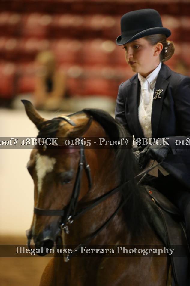 Proof 18BUCK_01865