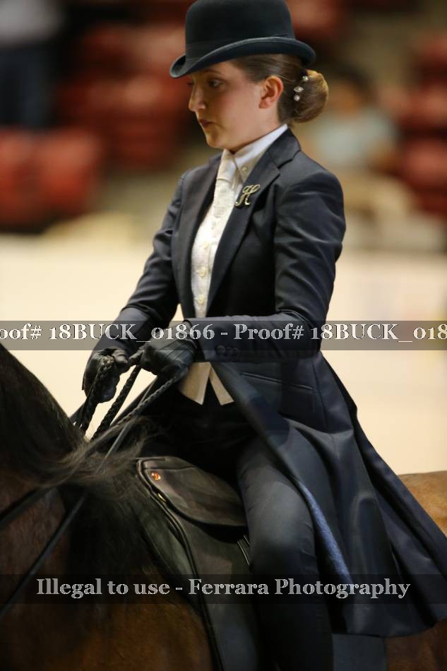 Proof 18BUCK_01866