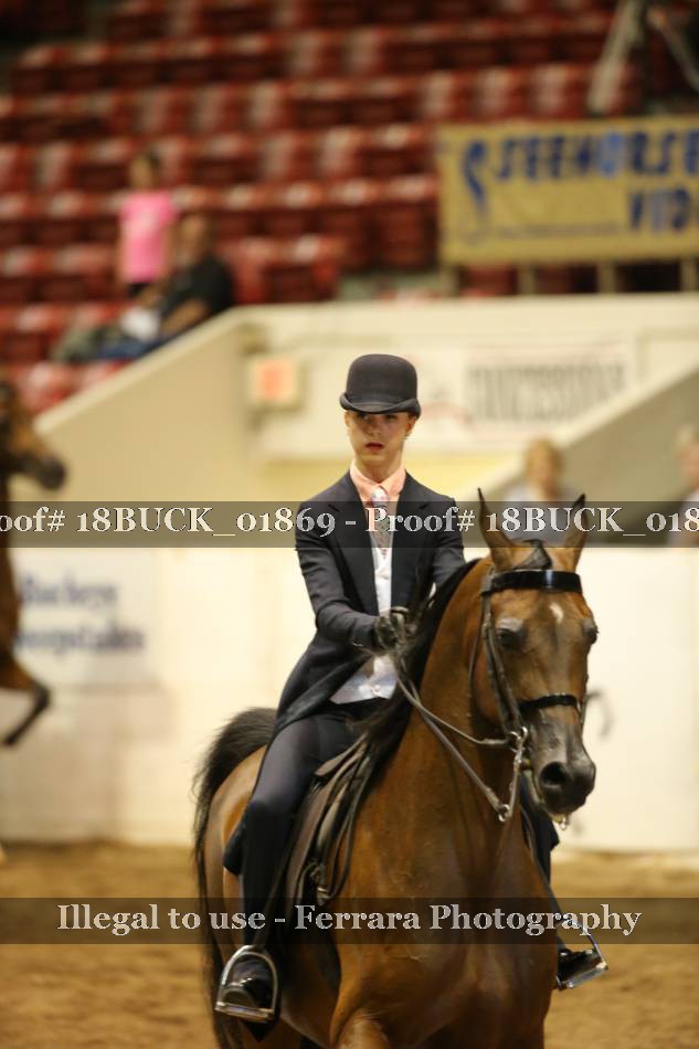Proof 18BUCK_01869