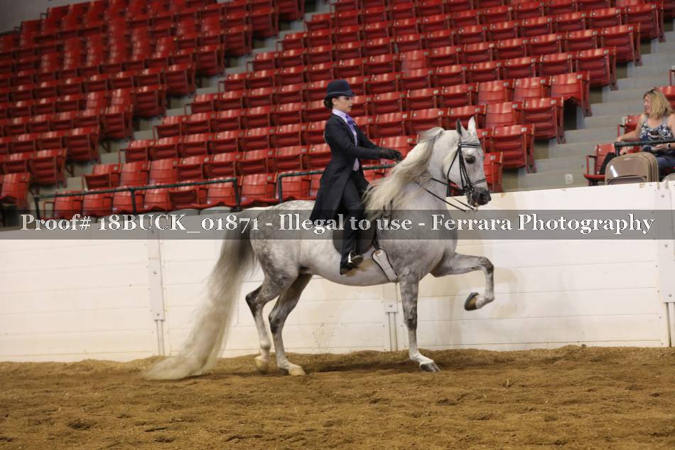 Proof 18BUCK_01871
