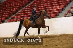 18BUCK_01872 proof