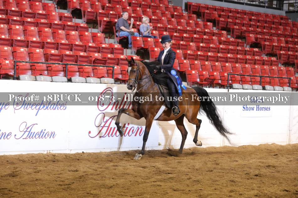 Proof 18BUCK_01873